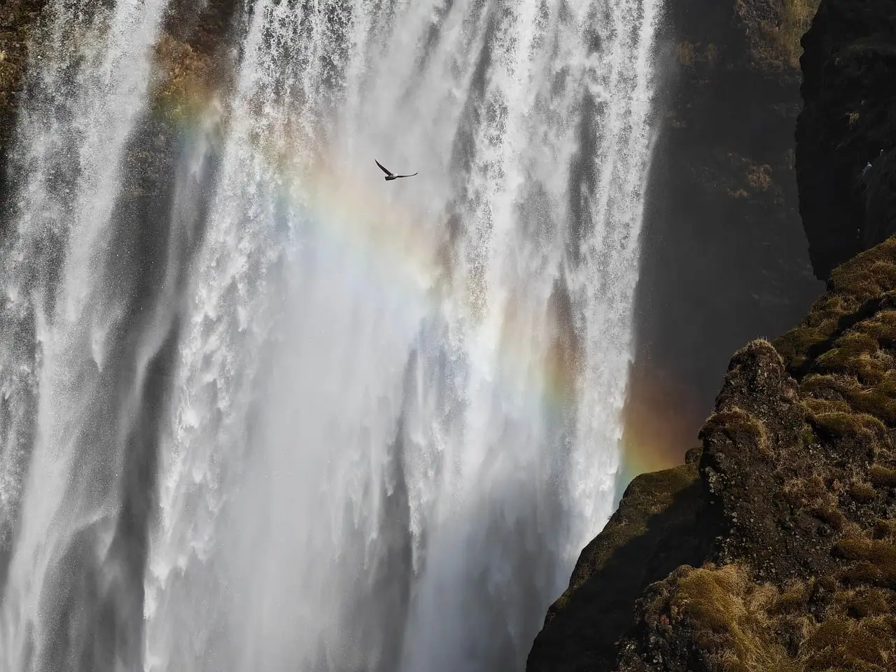 No one better connects Boston to the world: Delta announces new route to Iceland - Delta News Hub